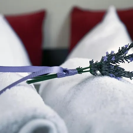 게스트하우스 Maura 반스카비스트리카